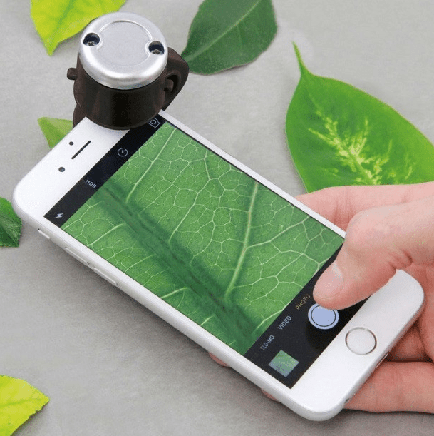 Mikroskop do smarfonu przyczepiony do białego telefonu, którym ktoś obserwuje liść
